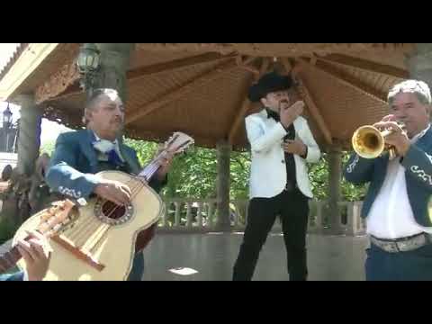 Armando Medrano el Cautivador - por cobarde (version mariachi) 2019