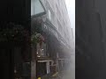 A Relaxing Walk In The Heavy Rain In London 