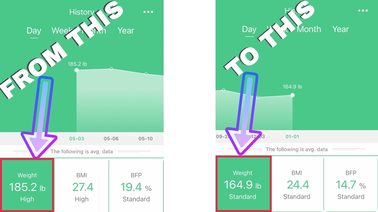 Fittrack Dara Scales Review  Features you need to know before you buy 