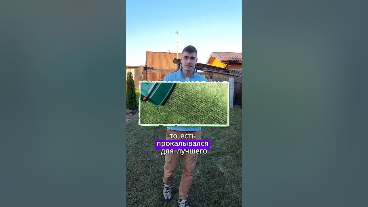 Газон рулонный или посевной? - YouTube