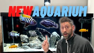 A New 40 Gallon Aquarium Setup ... From Start To Finish