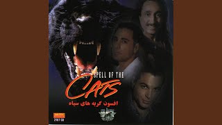 Bedooni - Black Cats