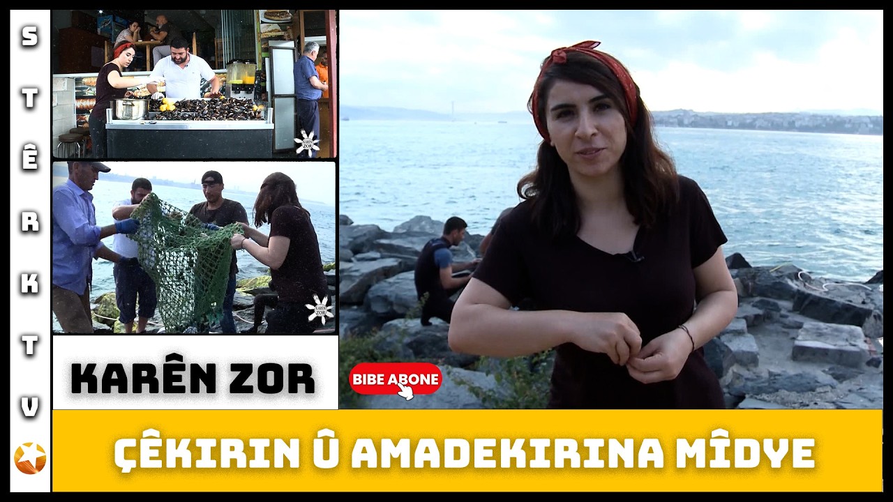 Karên Zor - Karê Mîdye