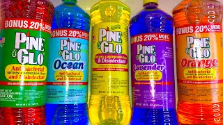 🌈 ✨ PINE GLO SUDS✨ 🌈