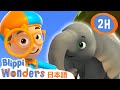 ぞうとそうぐう! | ブリッピーワンダーズ | 子供向け動画 | 人気アニメ