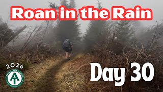 Roan Mountain | Day 30 — NOBO Appalachian Trail 2026 - Clyde Smith Shelter to Carver’s Gap