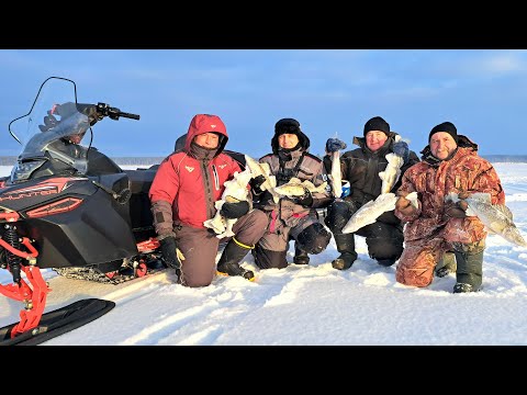 WINTER FISHING - GOODBYE! Last ice 2025. Evening Zander Feeding Frenzy. Underwater footage.