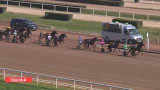 Vidéo de la course PMU PRIX VAR-MATIN