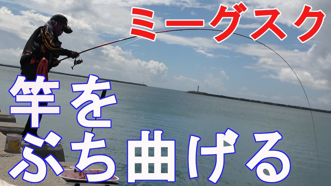 黄色いヒレが特徴の強い魚が釣れた【三重城】