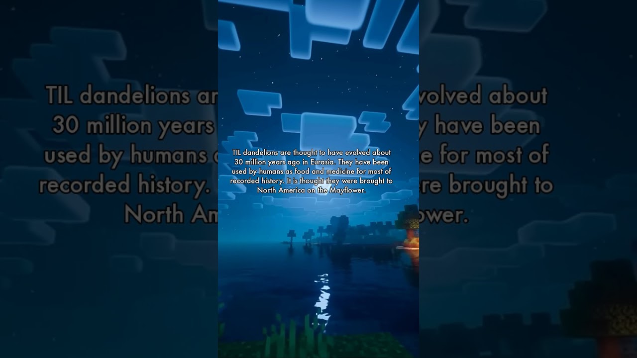 Today I Learnt - February 21, 2025 - 1