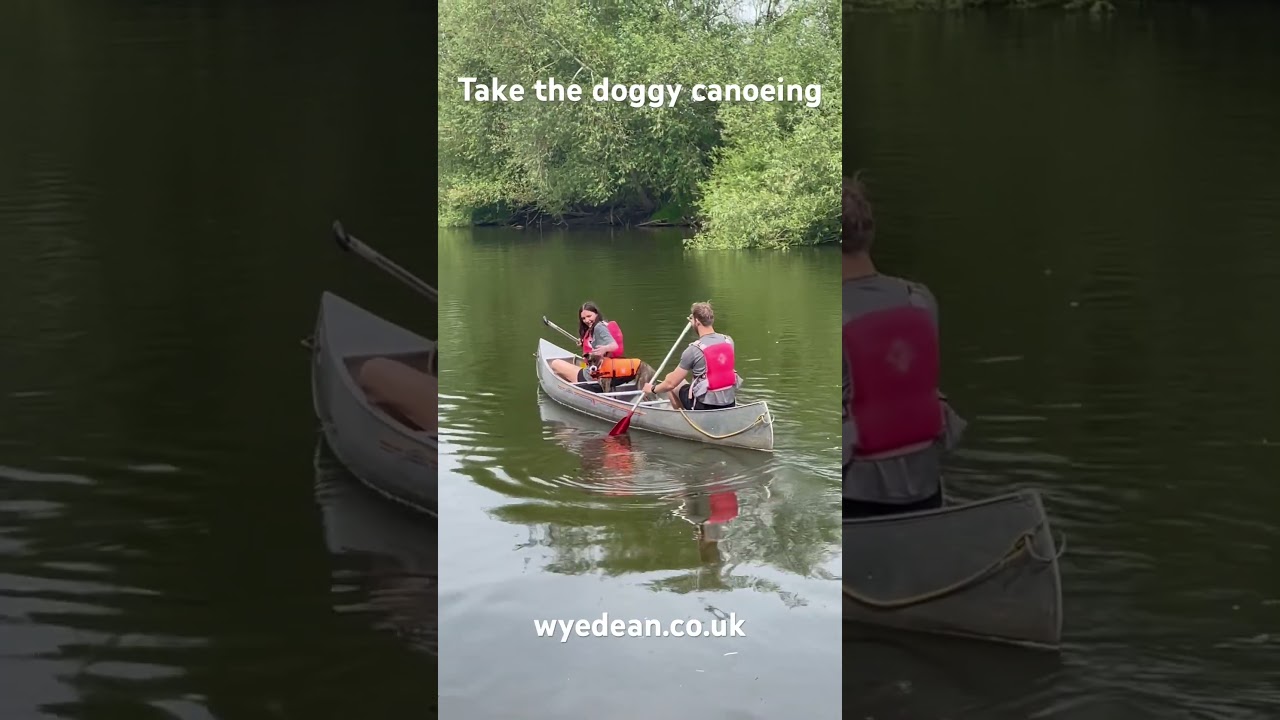 Taking the dog canoeing 