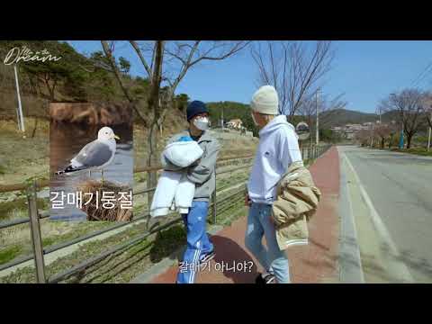 중국인이 캐나다인 가르키는 학 vs hawk vs 갈매기