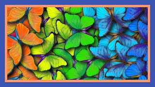 Commercial Art | Creative Services to Advertisers | Graphic Design | Graphic Art