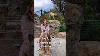 Orange County Zoo Located Inside Irvine Regional Park In Socal.