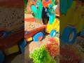 🚜#shorts video 👍 #tractor toy #like subscribe 🚜#off roading #video