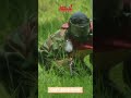 WhatsApp Video 2025 07 01 at 20 28 15