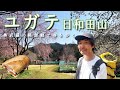 【ユガテ/日和田山】奥武蔵の春を歩く【山ごはん:生ハムとモッツァレラのバゲットサンド】_2025.04.05