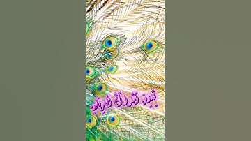 سورة مريم و؛،كا.نك تسمعها لأ،.و..ل مر.ة💐❣️🌻،؛ 💚🧡💙،،💝بصوت الشيخ حمزة مدبو.ح 💟💮،. 💓. 💐🌷؛ 💗🌹