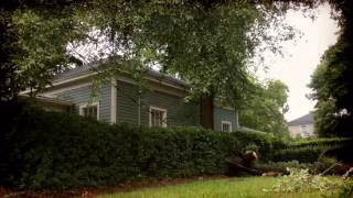 Summer storm topples trees, knocks out power in Macon