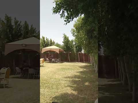 باينة القضية ضربة قاضية ههههه