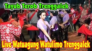 Tayub Terob Trenggalek Bpk. Suyanto watuagung watulimo Trenggalek