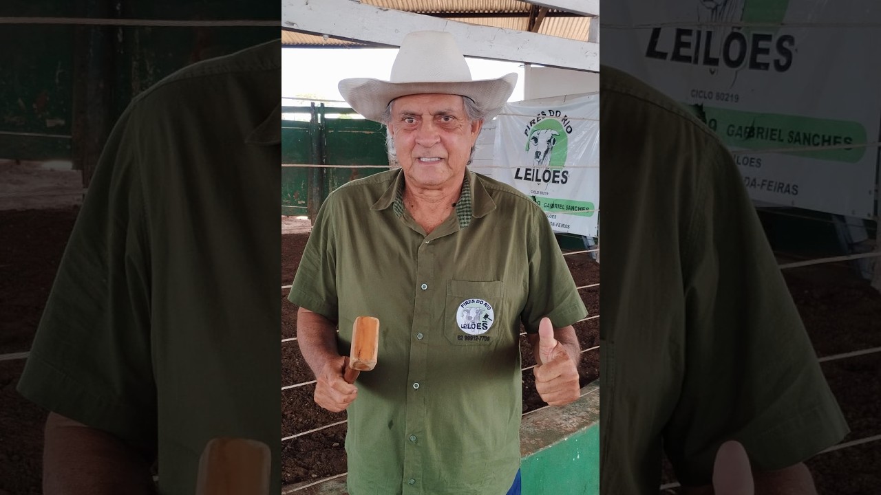 PIRES DO RIO LEILÕES - PIRES DO RIO - GO - 16/02/2026