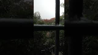 JU campus. বৃষ্টির দিনে।