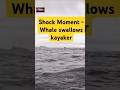 Shocking Moment - Whale swallows kayakers and spits him out