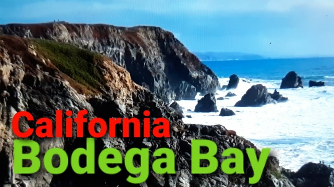 Bodega Bay California/ASMR/시원한 파도소리/Spud Point Crab Co./보데가 베이 Seafood 맛집/힐링영상/아름다운 파도소리/사슴(Deer)