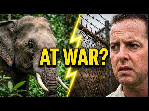 Sri Lanka’s Wildest Places Are At War. (Sinharaja & Udawalawe Documentary)