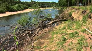 Natural Stream Restoration: Good Stream Gone Bad (Part II)
