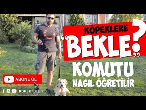 Video: En İyi Koruyucu Köpekler Nelerdir?