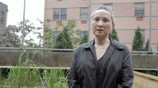 NYC SWCD Stormwater Planter Green Infrastructure