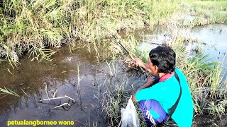 Ketemu sarangnya ikan!! Panen strike