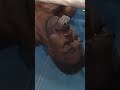 That right hand from Mike Tyson 😳 Happy Birthday, Iron Mike 🥳 #miketyson #boxing #knockout #tyson