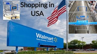 Grocery Shopping at Walmart for The First Time | One of America's Supermarkets!