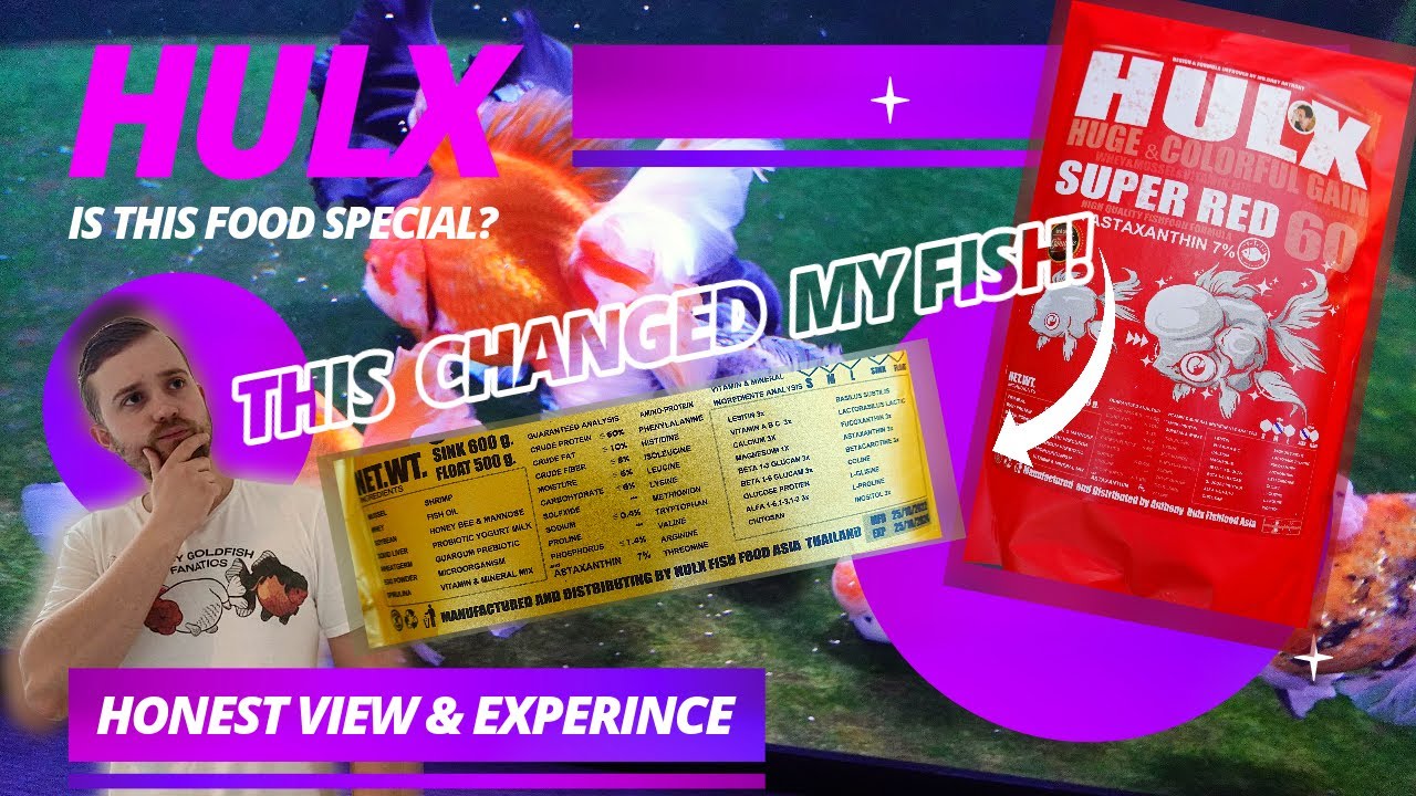 HULX Goldfish food | What I really think? | Buoyancy ISSUES? Water quality problems? | REVIEW