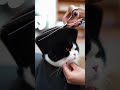 Tuxedo cat getting a professional "Flat Top" haircut #cat #haircut #funny