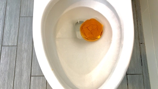 Will It Flush? - Mcdonalds Cheeseburger