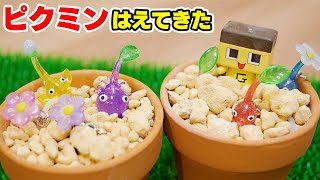 リアルでピクミンぬいてみた！ぐちお、植木鉢から生えてきてるぞ！【ピクミンのガチャ】