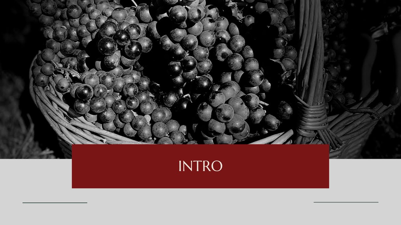 Cantina Puianello: INTRO