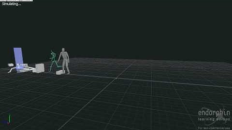 My first Endorphin video