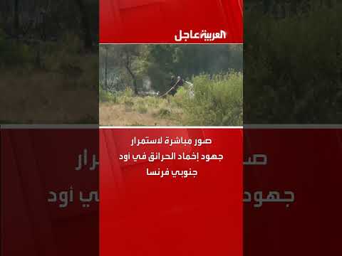 حرائق الغابات في فرنسا تتسبب في خسائر فادحة ومصرع شخص