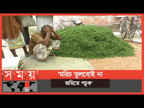 ভিডিও: হোল ফুড কি শিশিতো মরিচ বিক্রি করে?