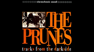 The Prunes - Tracks From The Darkside [Full Album]