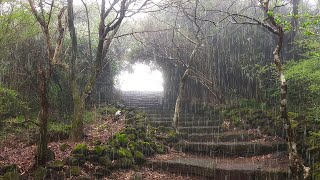 Лестница в небеса: звуки тумана и дождя для быстрого сна, релаксации и медитации