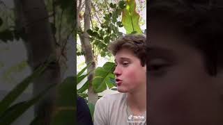Famous BRAEDEN SORBO. #tiktok #darkjokes #humor Wealth
