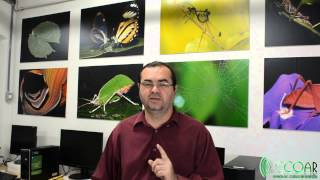 03 Vídeo da Ecoar repleto de dicas sobre Plantas medicinais e Macrofotografia screenshot 2