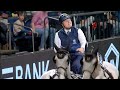 RE-LIVE | Competition 2 - FEI Driving World Cup 2024 - 2025