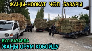 ЖАҢЫ-НООКАТ ЧӨП БАЗАРЫ / 29_05_2024